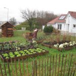 Jardin Potager