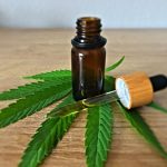 Tout savoir sur l'huile de cannabidiol