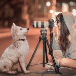 Animaux dans la photographie