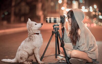 Les animaux dans la photographie