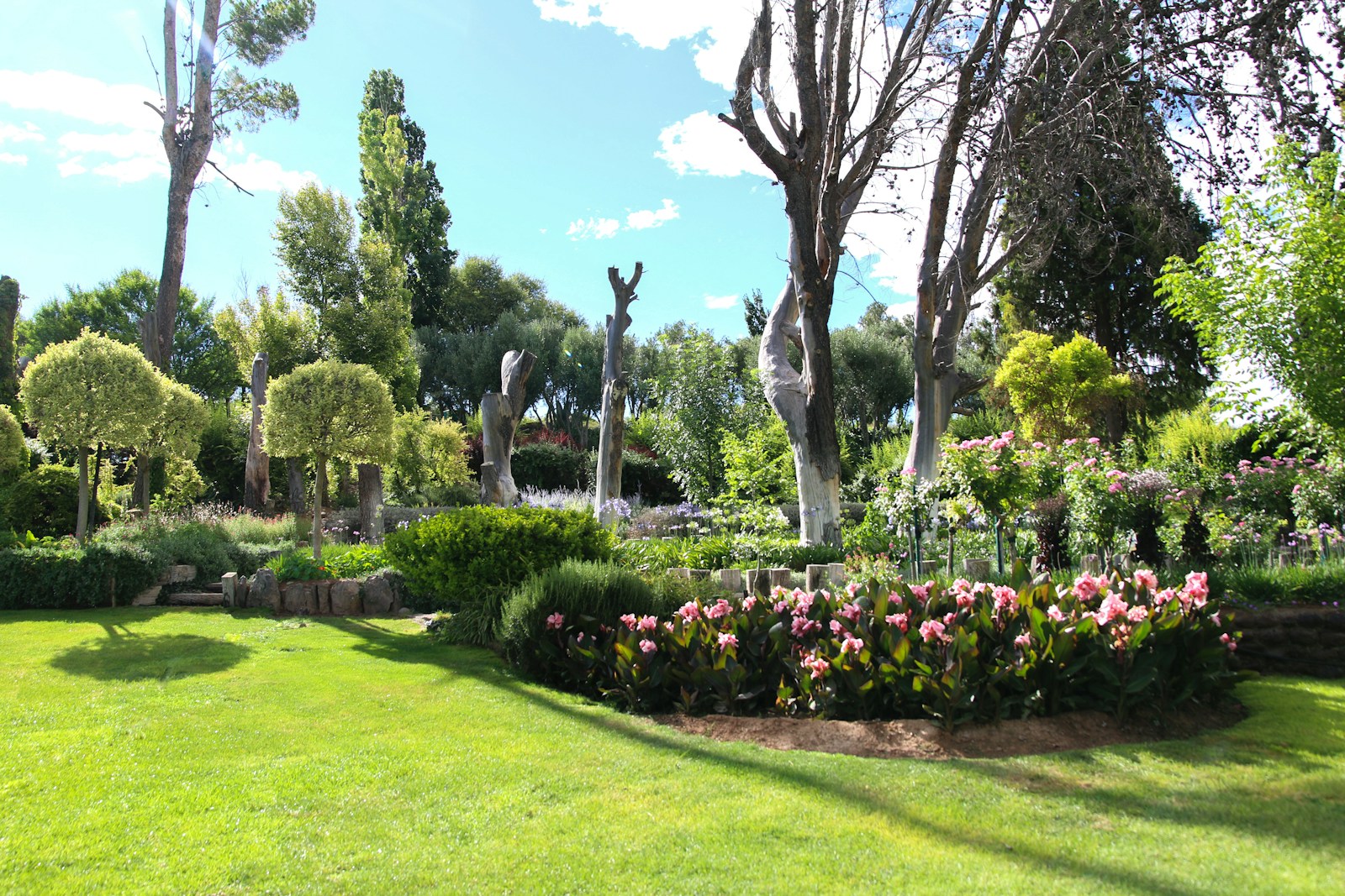 Comment équilibrer zones vertes, ombre et exposition dans un jardin